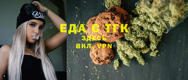 индика Алзамай