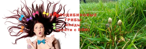 индика Алзамай
