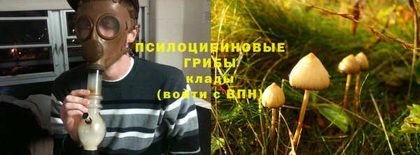 ПСИЛОЦИБИНОВЫЕ ГРИБЫ Алексин